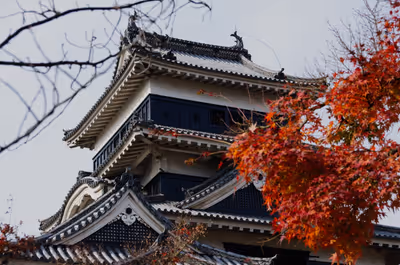 2015年11月22日に長野県で撮った「城、松本、松本城、植物、秋、空、紅葉」の写真