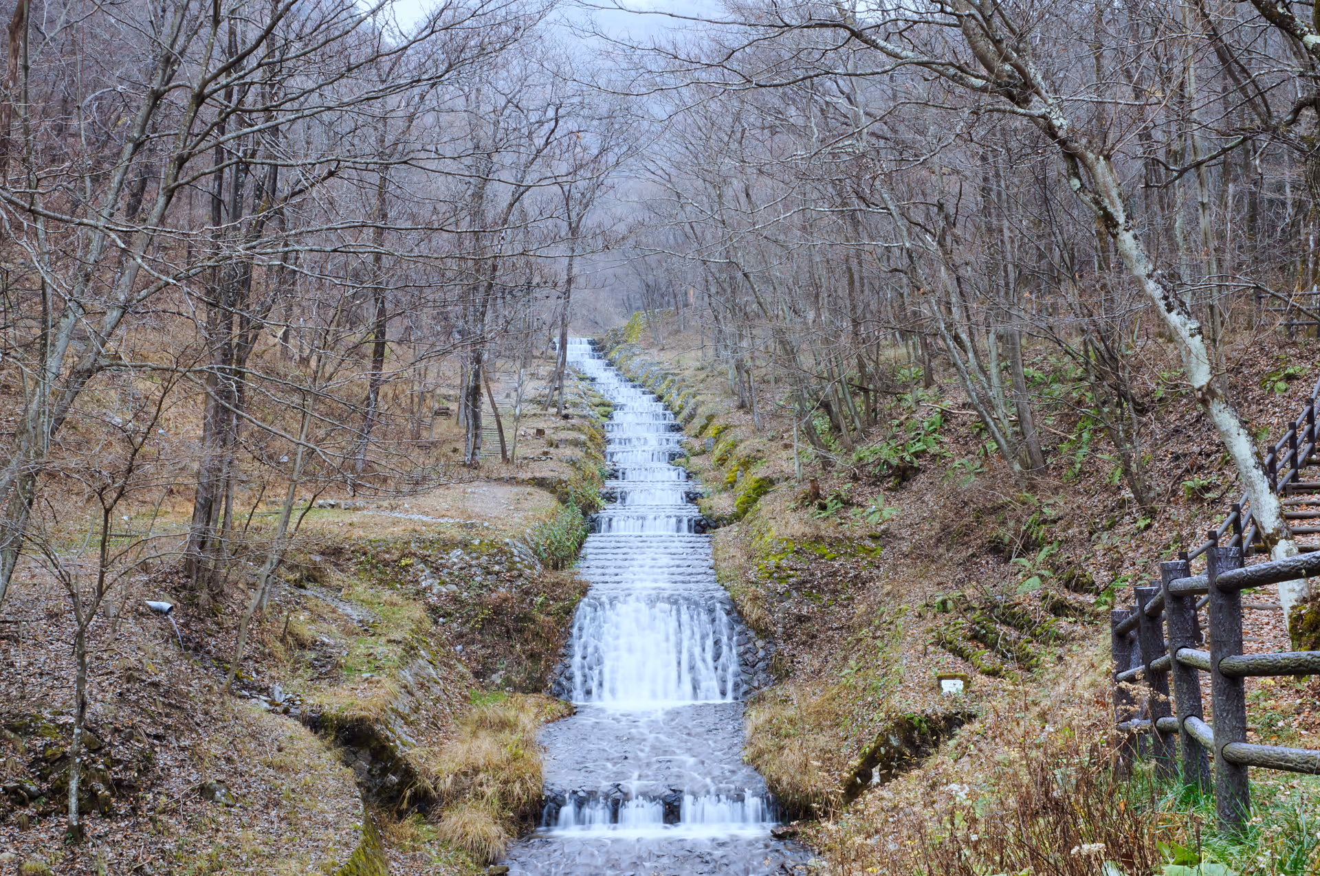 2015年11月22日に長野県で撮った「川、森、滝」の写真