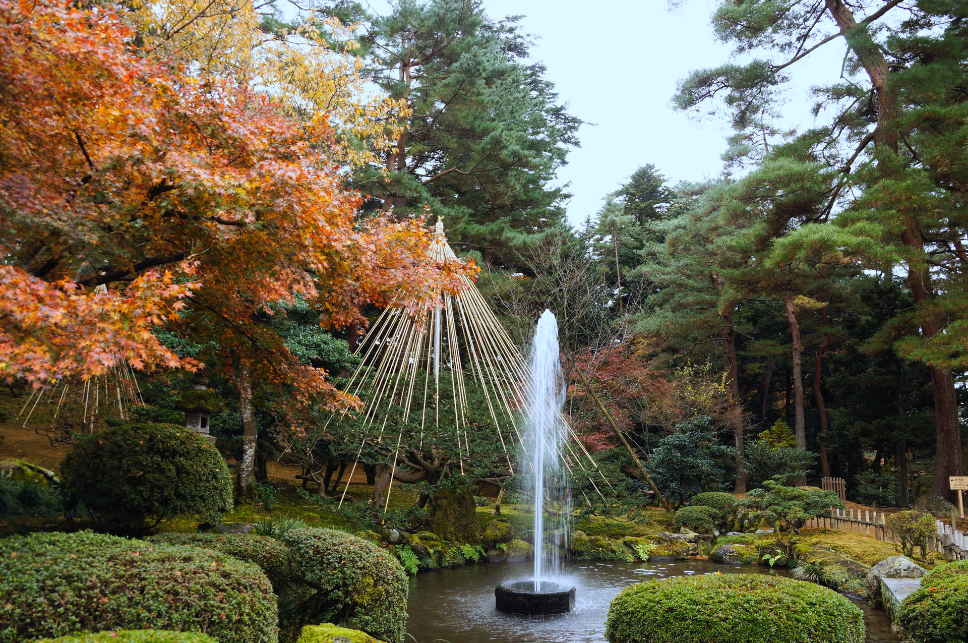 2015年11月25日に石川県で撮った「兼六園、噴水、庭園、植物、秋、紅葉」の写真