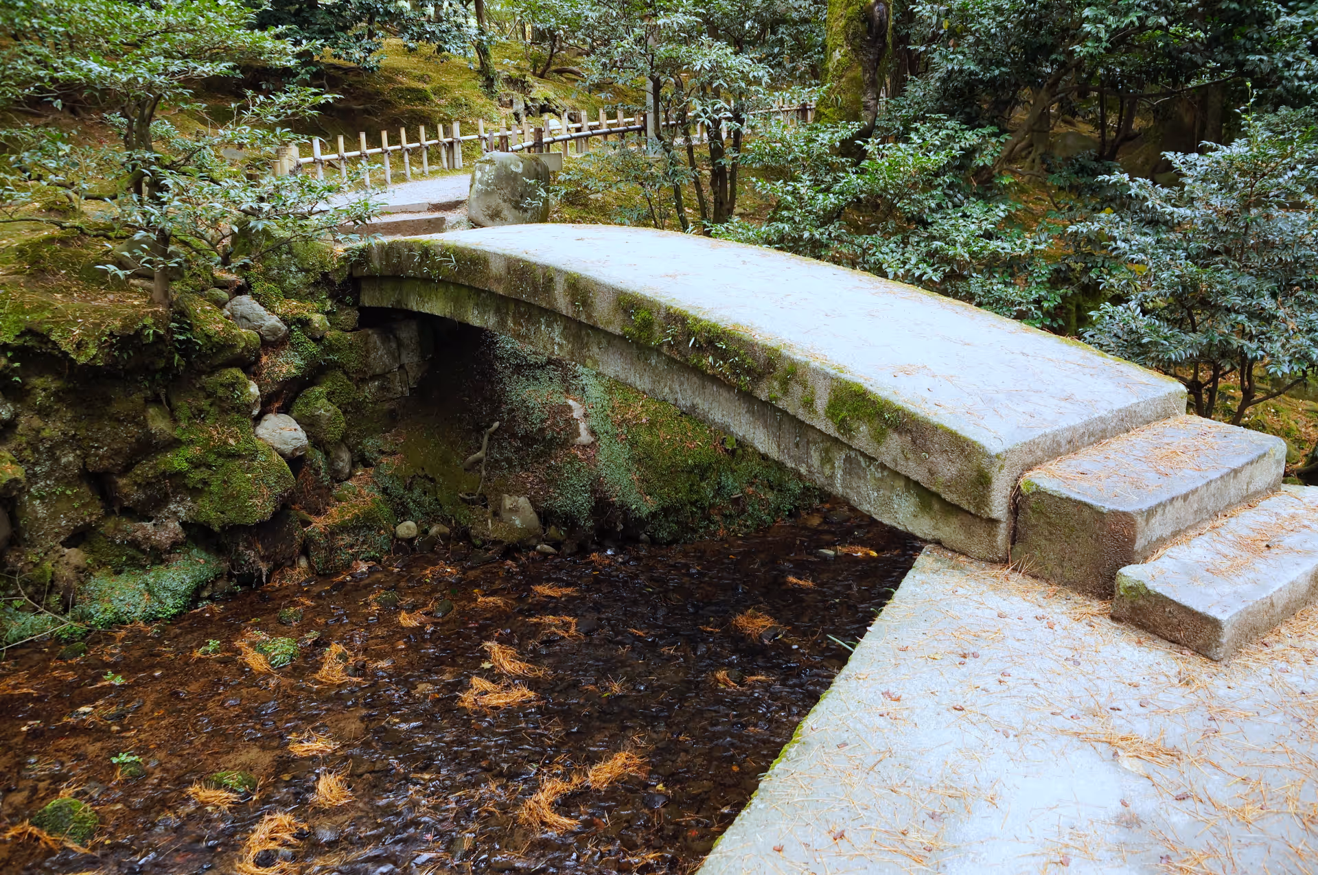 2015年11月25日に石川県で撮った「兼六園、庭園、植物、橋、池」の写真