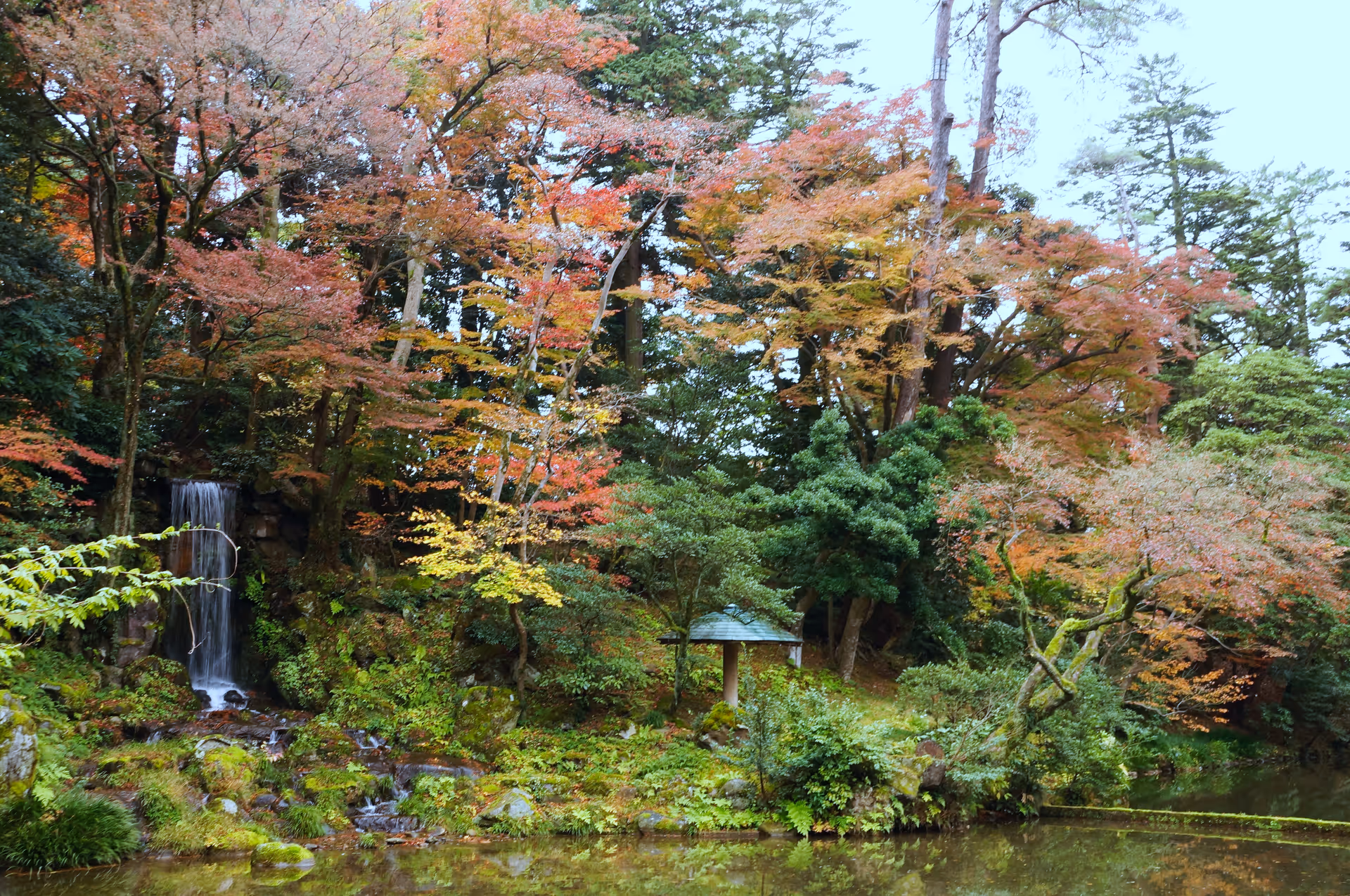 2015年11月25日に石川県で撮った「兼六園、庭園、植物、池、滝、秋、紅葉」の写真