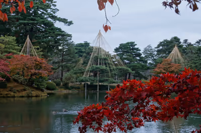 2015年11月25日に石川県で撮った「兼六園、庭園、植物、池、秋、紅葉」の写真