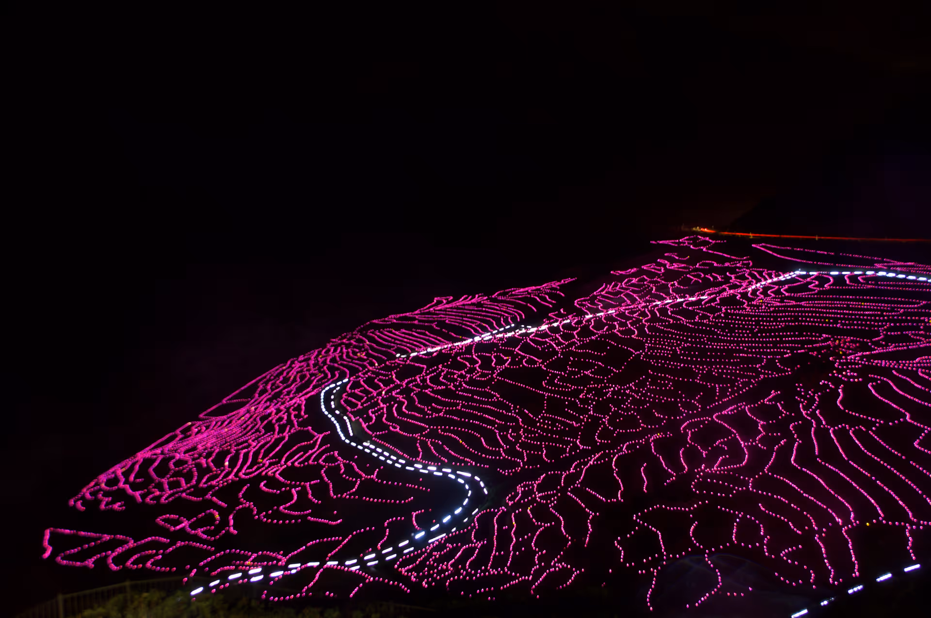 2015年11月25日に石川県で撮った「イルミネーション、夜、棚田、秋」の写真