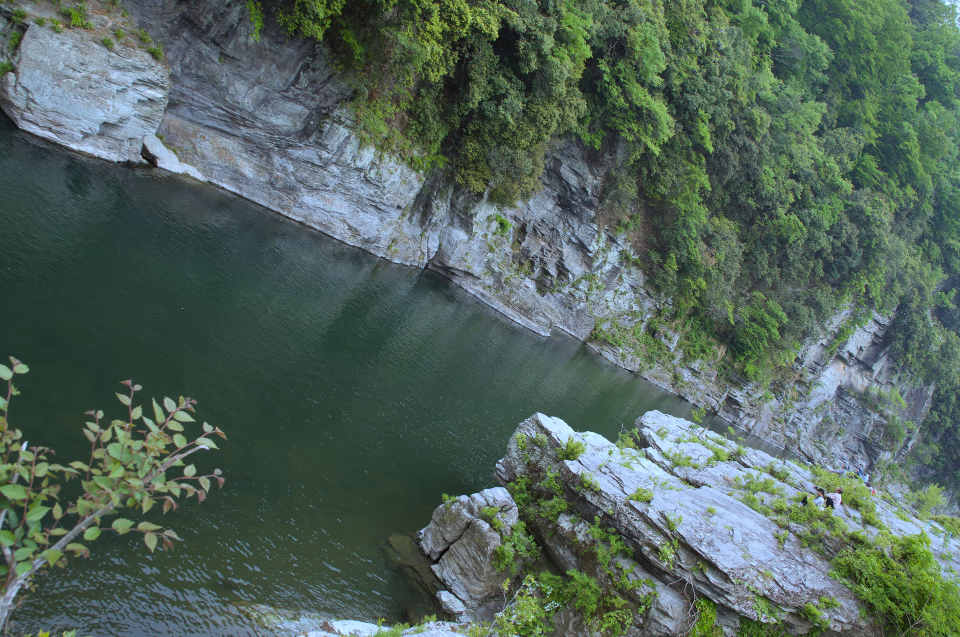 2016年5月3日に埼玉県で撮った「岩、川、森、植物、秩父」の写真