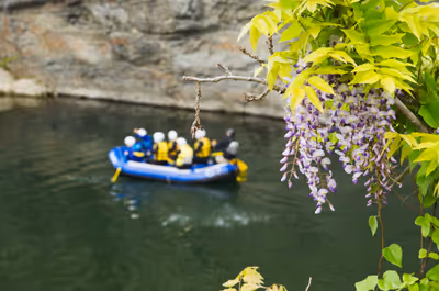 2016年5月3日に埼玉県で撮った「川、植物、秩父、藤」の写真