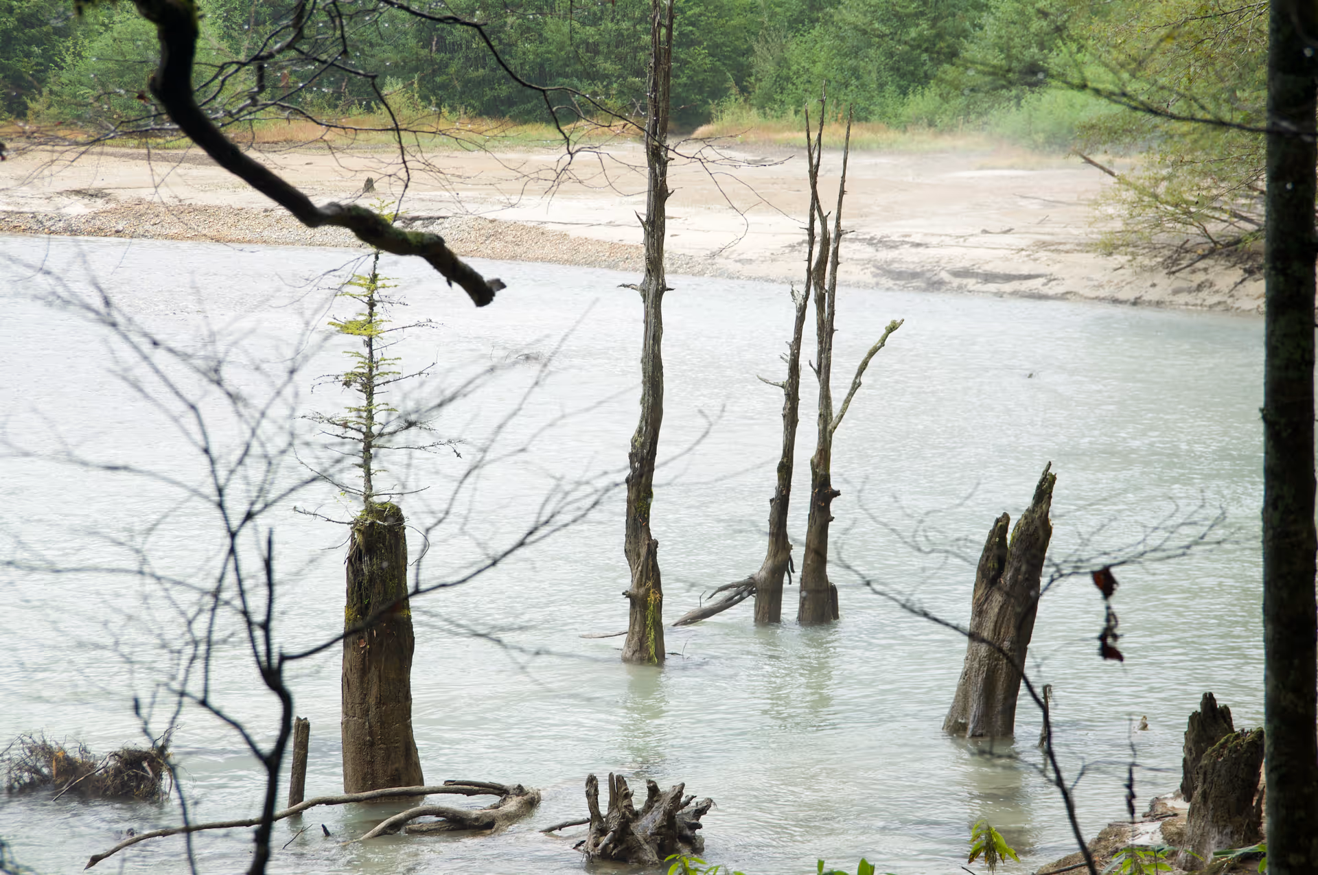 2016年9月22日に長野県で撮った「上高地、川、枯れ木、植物」の写真