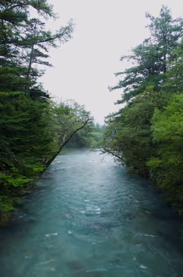2016年9月22日に長野県で撮った「上高地、川、森」の写真