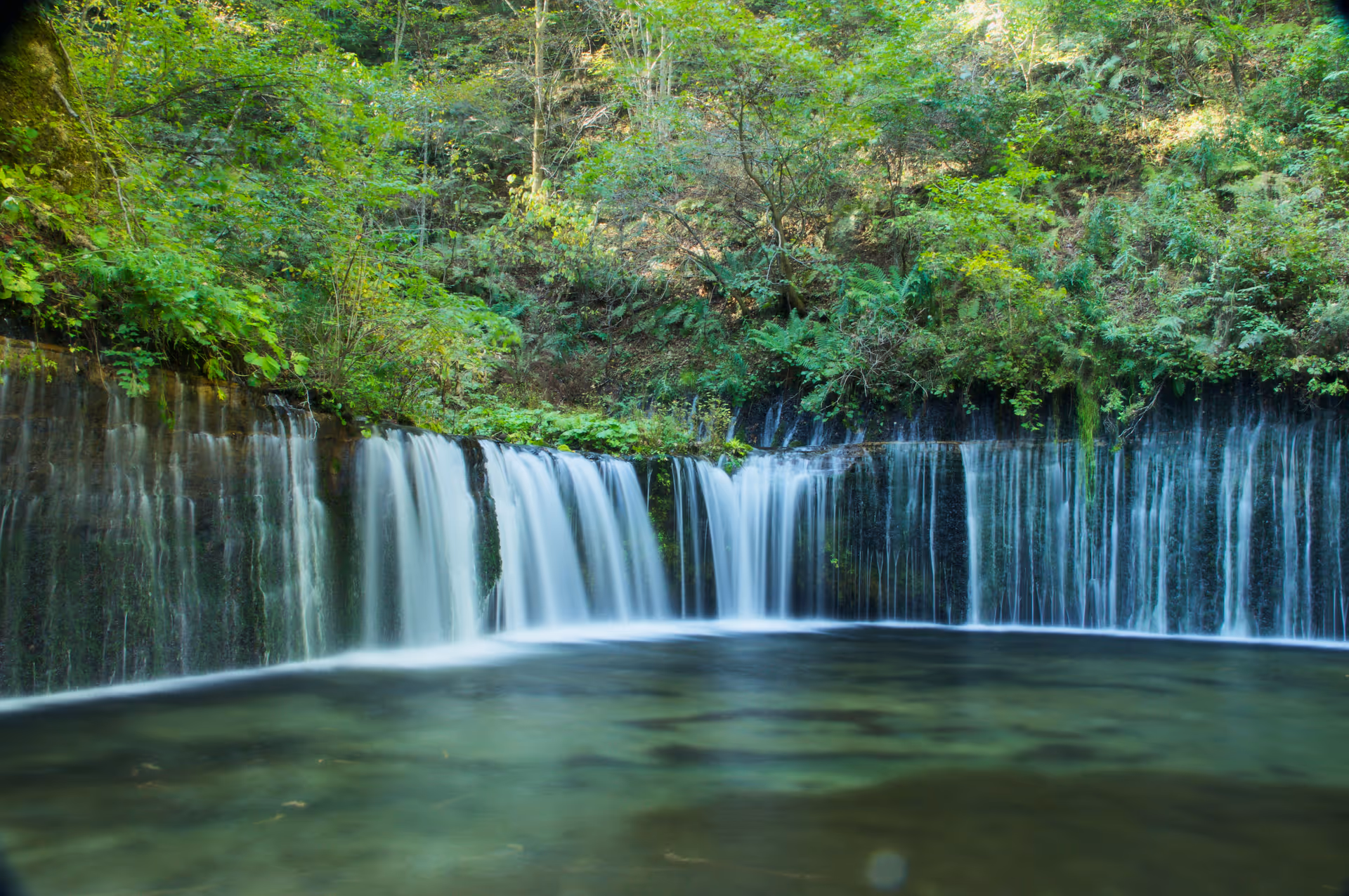 2016年10月15日に長野県で撮った「森、植物、滝、白糸の滝、軽井沢」の写真