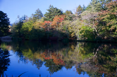 2016年10月15日に長野県で撮った「反射、植物、池、秋、紅葉、軽井沢」の写真
