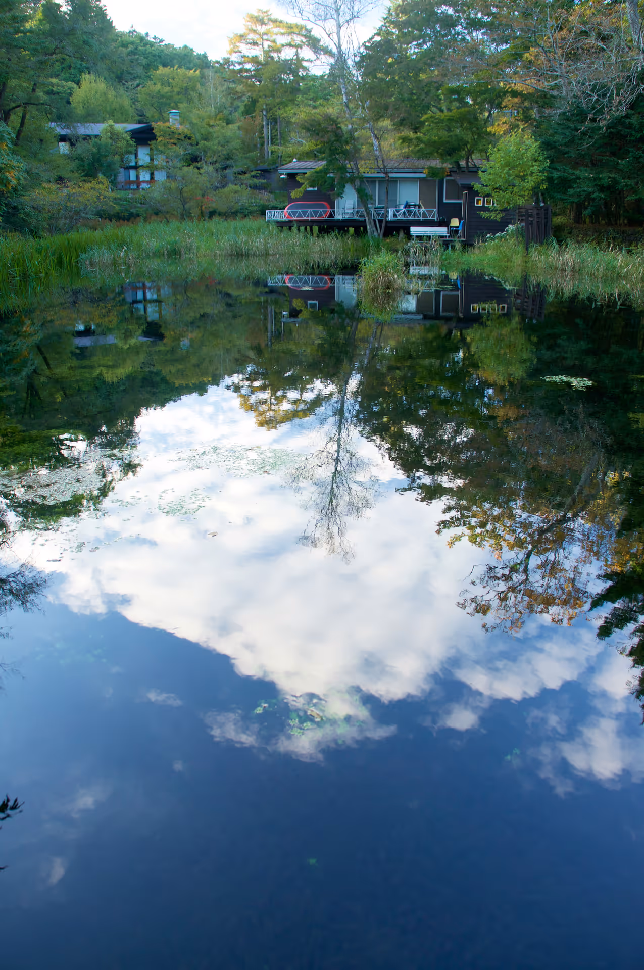 2016年10月15日に長野県で撮った「反射、植物、池、空、軽井沢」の写真