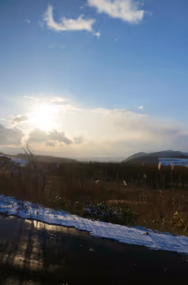 2017年11月25日に北海道で撮った「すすき、冬、植物、空、雪」の写真