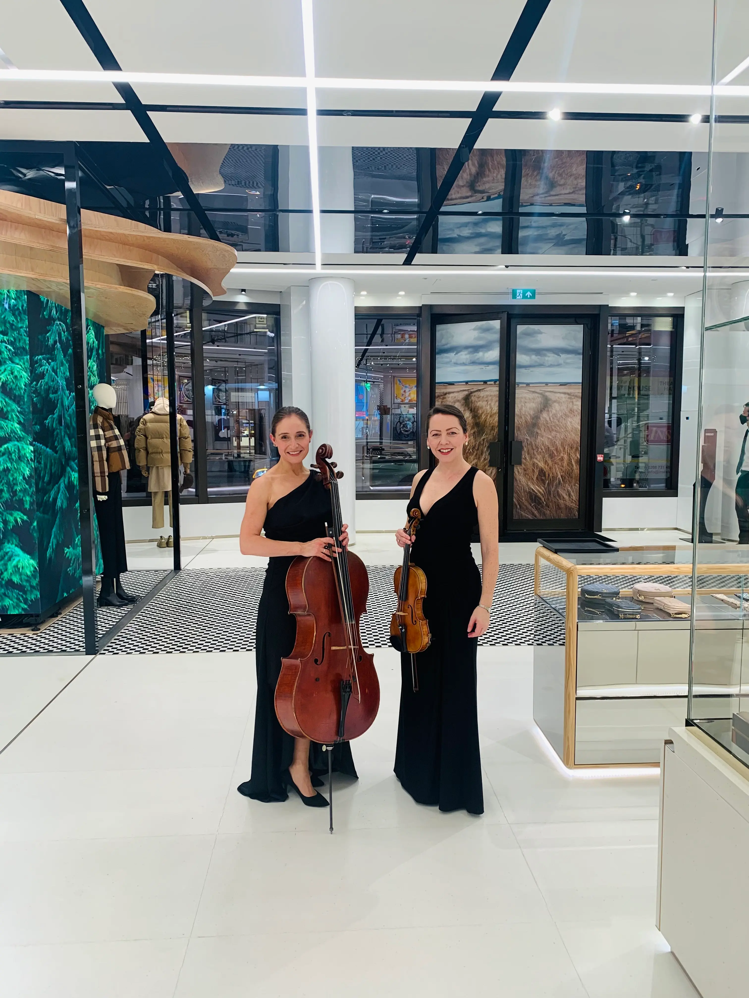 Elegant Violin and Cello Duo Live Music for London Events