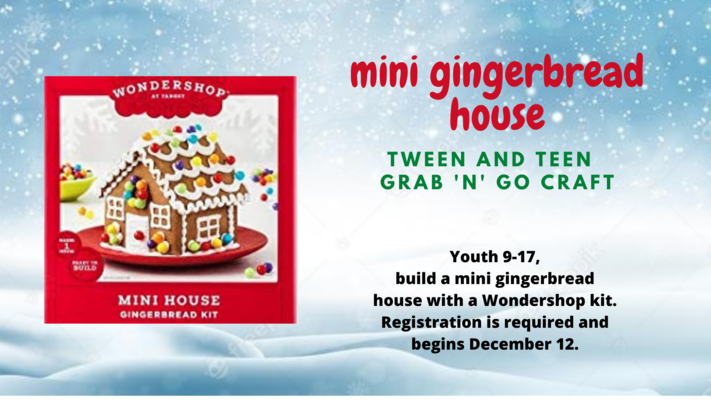 Tween and Teen Grab 'n' Go Mini Gingerbread House Kit