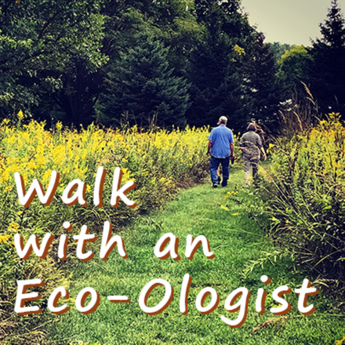 Walk with an Eco-Ologist at Prairiewoods: Lepidopterology