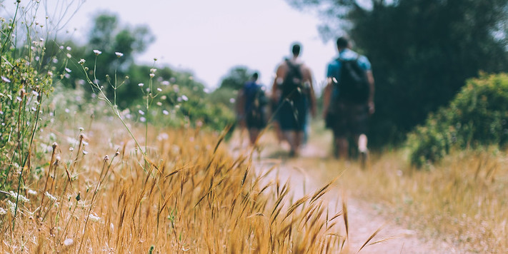 Rituals and Altars at Harvest Preserve: A Mindful Practice