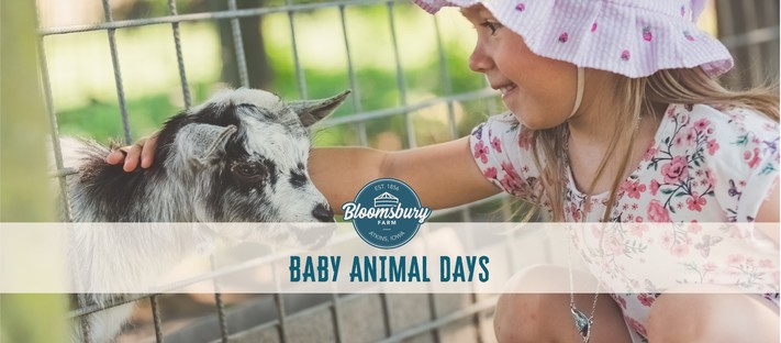 Baby Animal Days