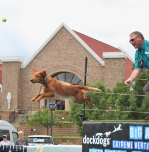 Dock Dogs