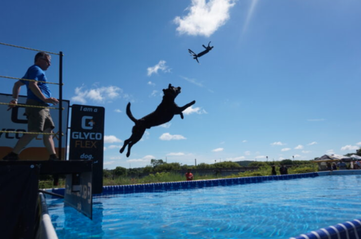 Dock Dogs June 25