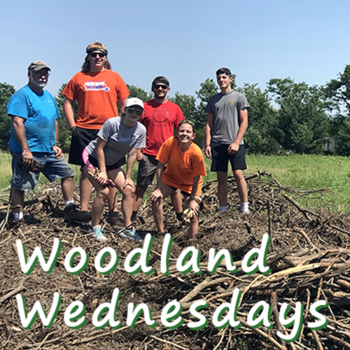 Woodland Wednesdays at Prairiewoods