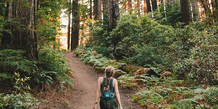 Nature and Forest Therapy Experience for Caregivers