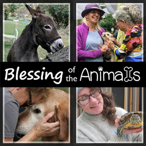 Blessing of the Animals at Prairiewoods