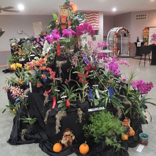 Orchids Are A Scream 2022: orchid show and sale
