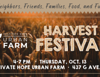 Search harvest festival banner