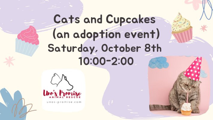 Cats and Cupcakes (an adoption event)