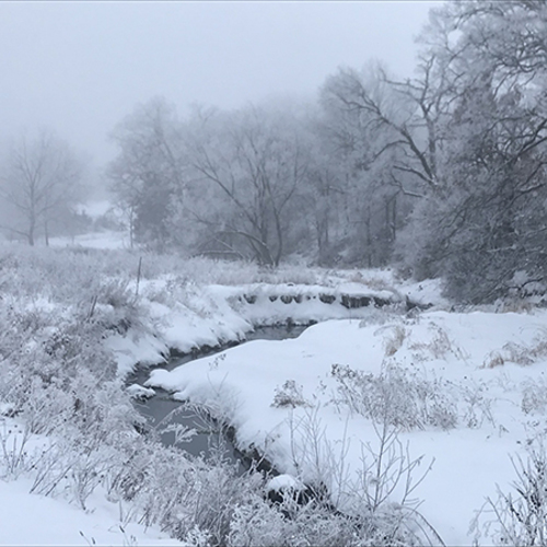 Winter’s Wisdom, Rest & Renewal: A Solstice & Advent Retreat at Prairiewoods