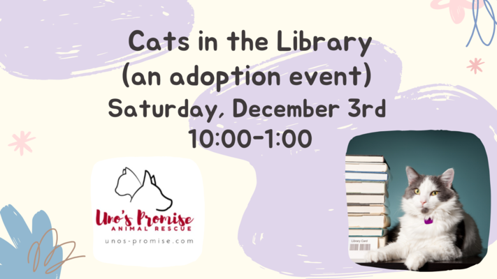 Cats in the Library-An Adoption Event