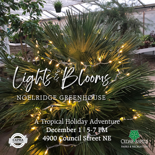 Noelridge Greenhouse Lights & Blooms
