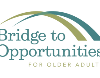 Search bridge to opportunities logo color