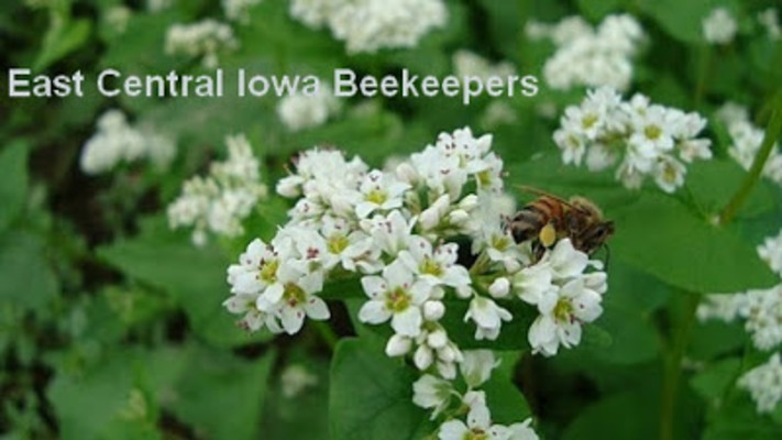 East Central Iowa Beekeepers Meeting