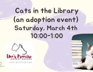 Search cat adoption event