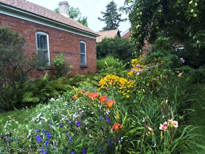 Colonies in Bloom