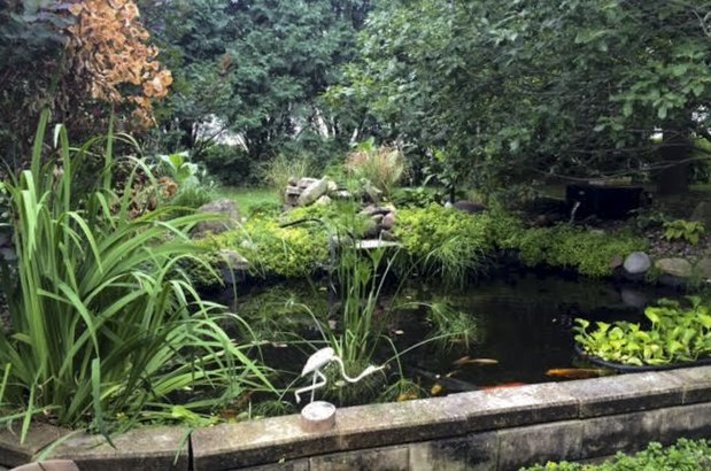 Colonies in Bloom