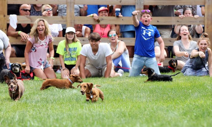 Wurst Festival in the Amana Colonies