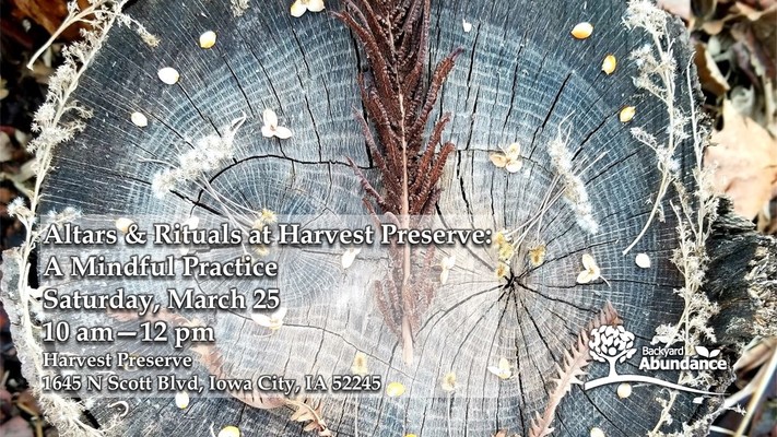 Altars & Rituals at Harvest Preserve: A Mindful Practice