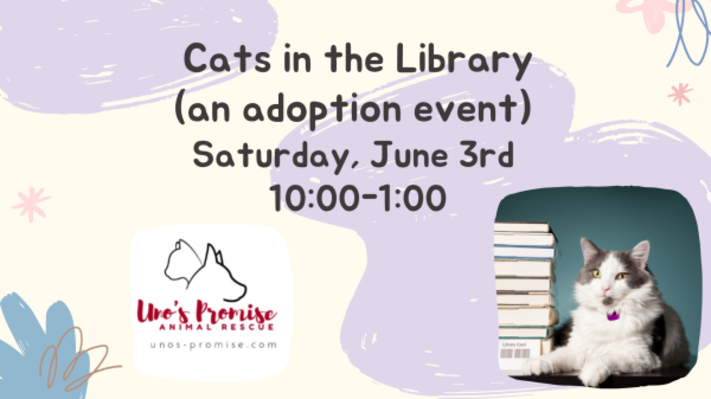 Cats in the Library: An Adoption Event