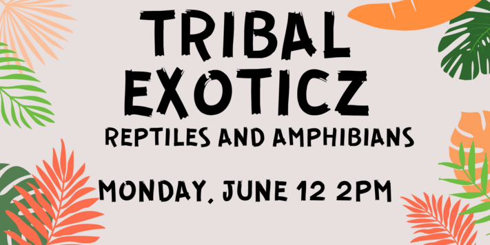 Tribal Exoticz- Voices of Reptiles