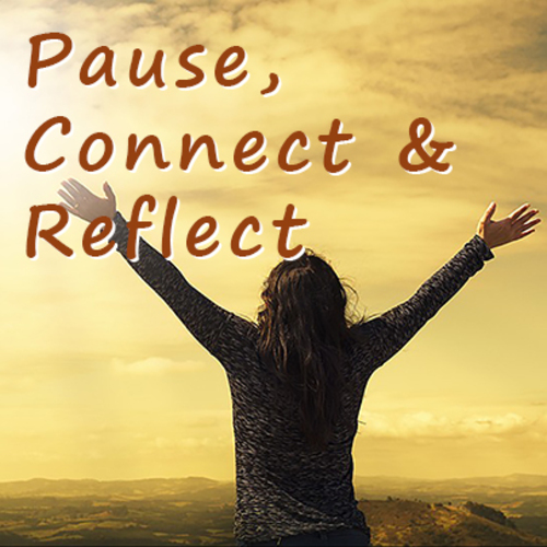 Pause, Connect & Reflect with Prairiewoods