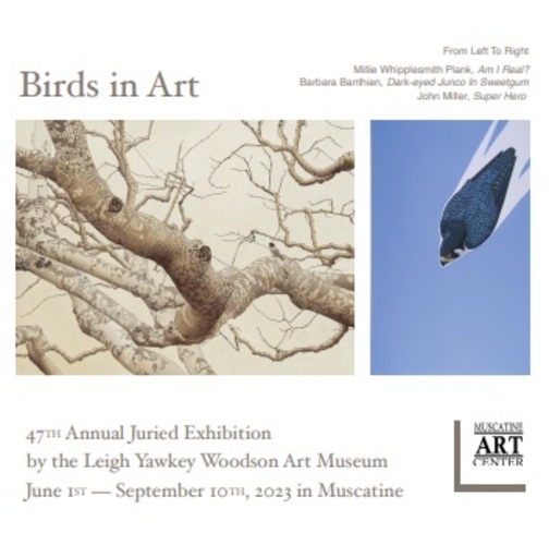 Birds in Art - Organized by the Leigh Yawkey Woodson Art Museum