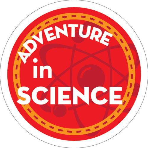 School Age STEAM at Ladd: Maker Art