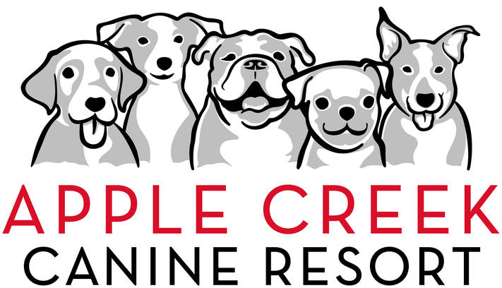 Dog Fashion Show Sponsored by Apple Creek Canine Resort