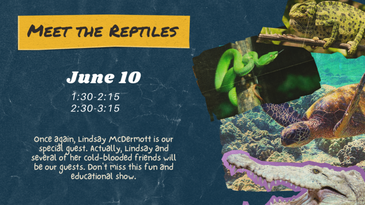 Meet the Reptiles