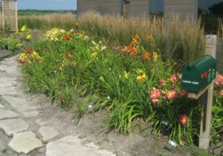 Gardening with Children and Youth