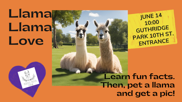 Llama Llama Love