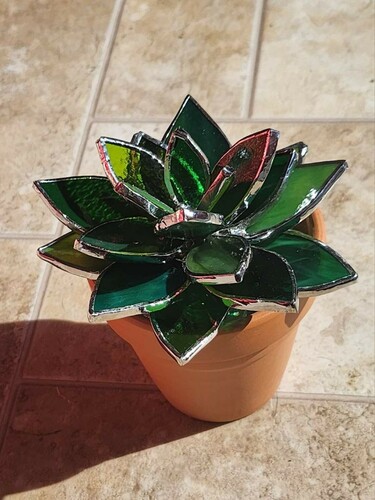 4 Week Stained Glass - Succulents 