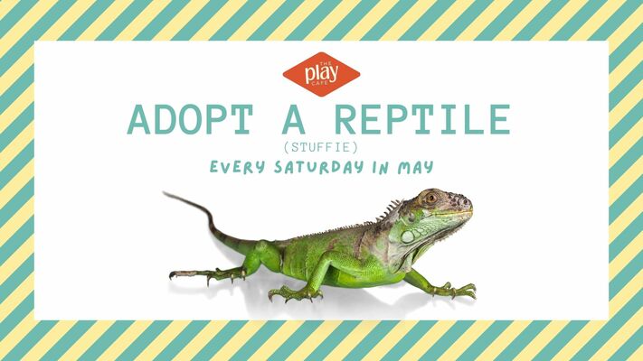 Adopt a Reptile (Stuffie) + Playtime