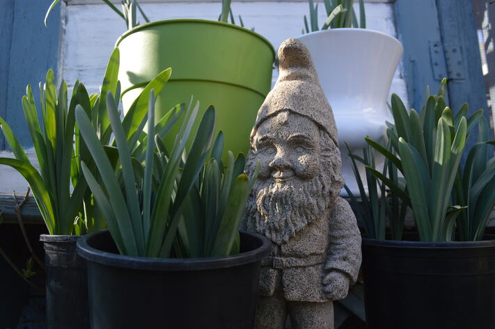 Save CR Heritage Spring Gnome & Garden Sale